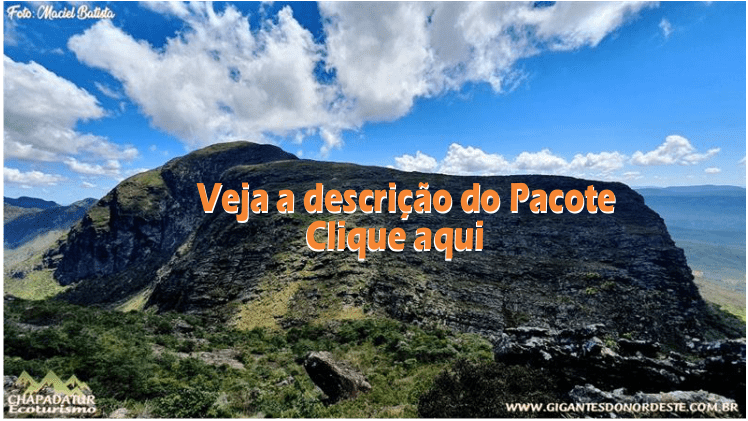 pico do elefante